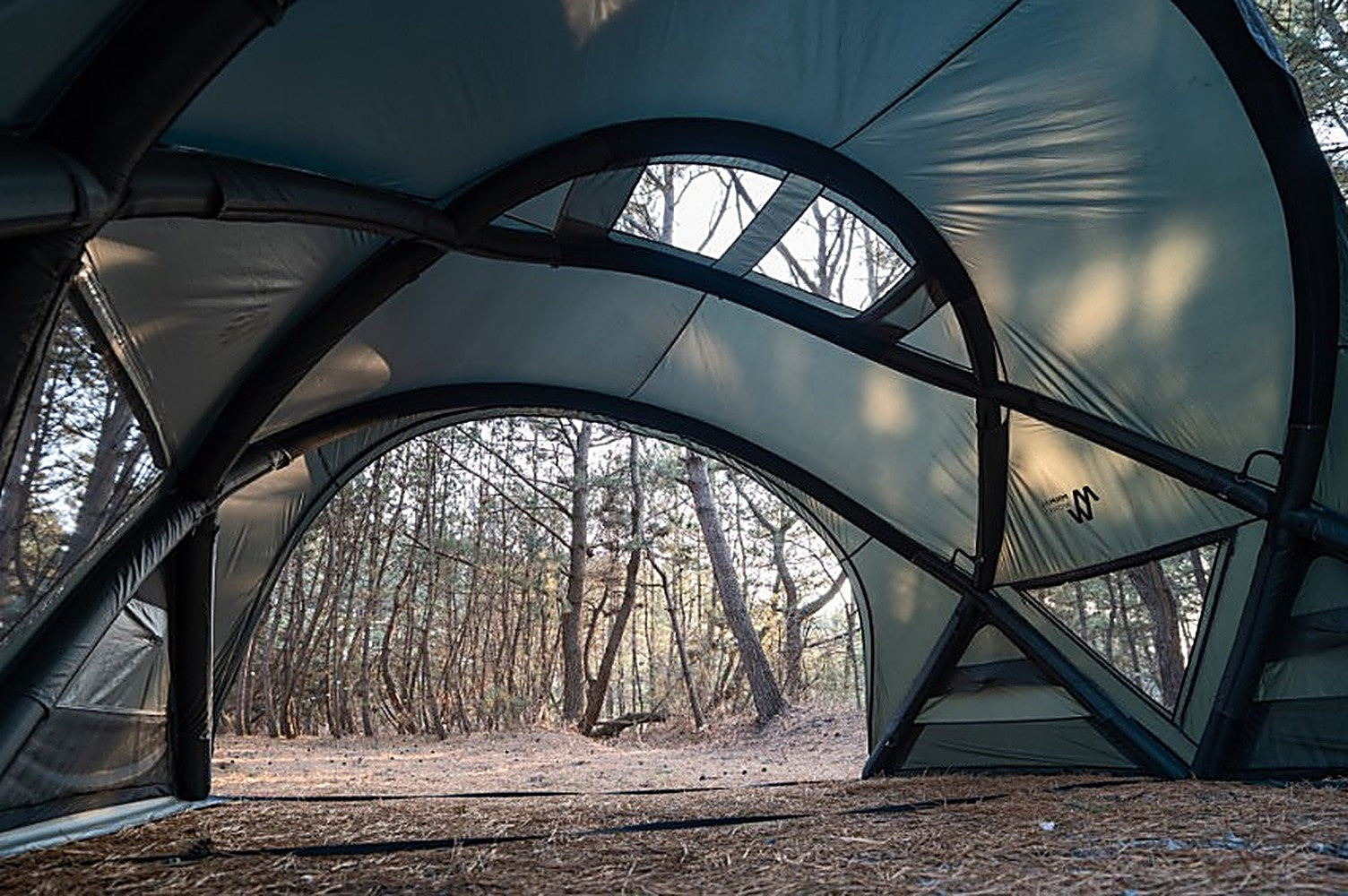 View out the Shelter GM arched doorway to a pine forest, sage canopy panels and ceiling mesh window overhead