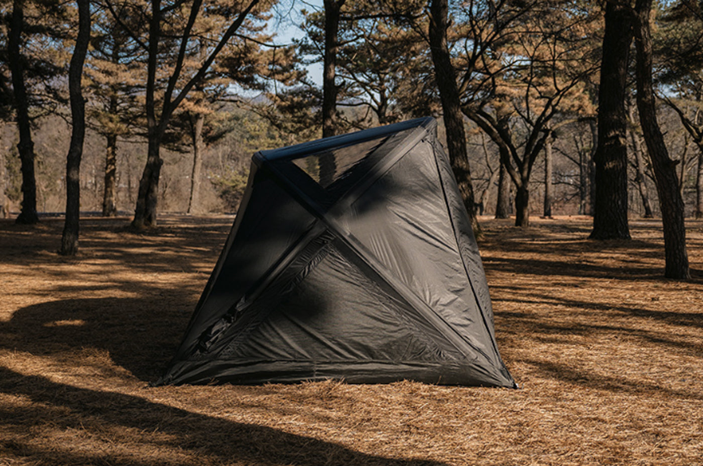 theEarth GEO AIR4 Tent, Black, wide view pitched in a pine forest campsite