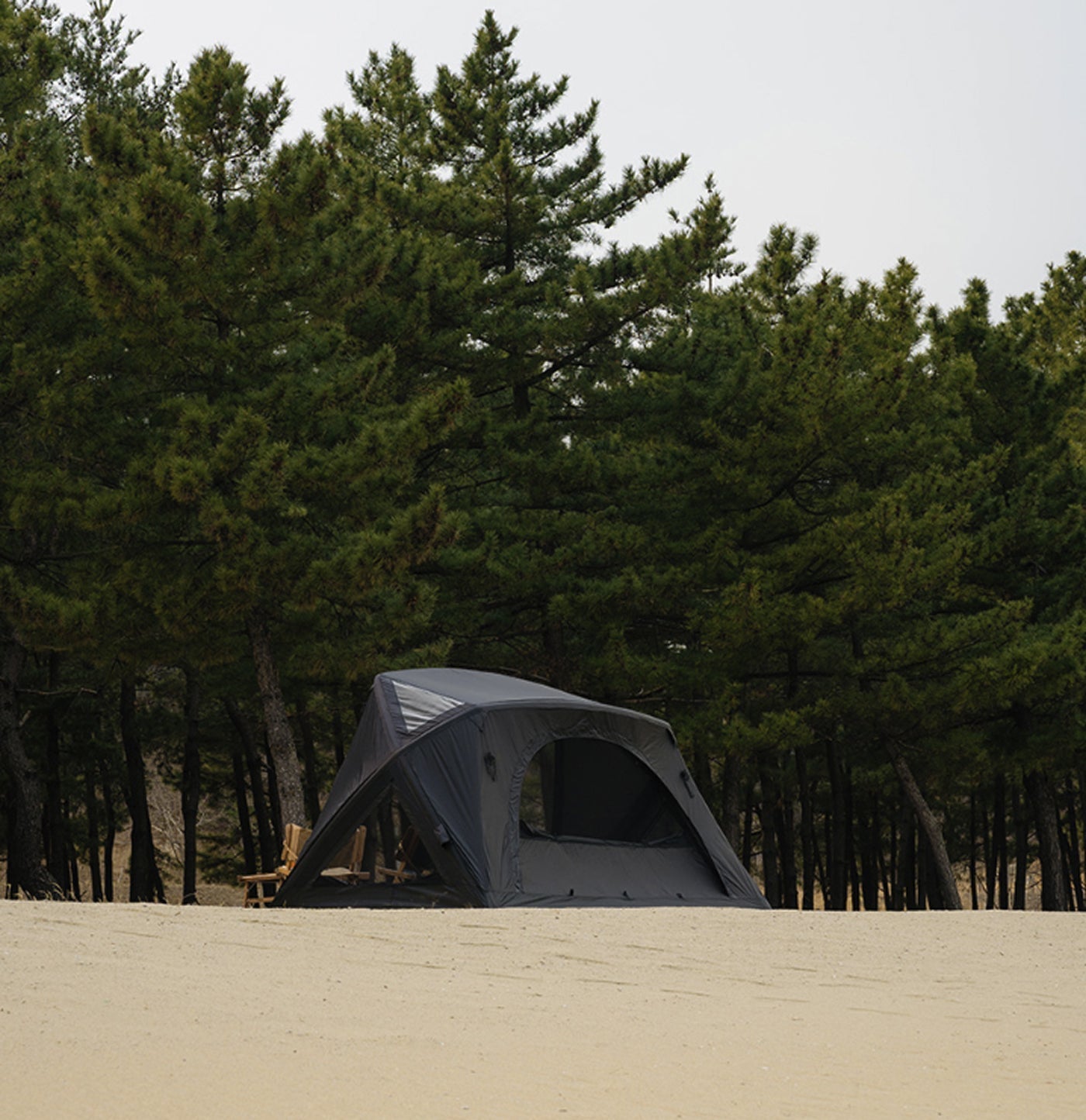 theEarth GEO AIR4 Tent, Black, pitched on open ground with pine trees behind