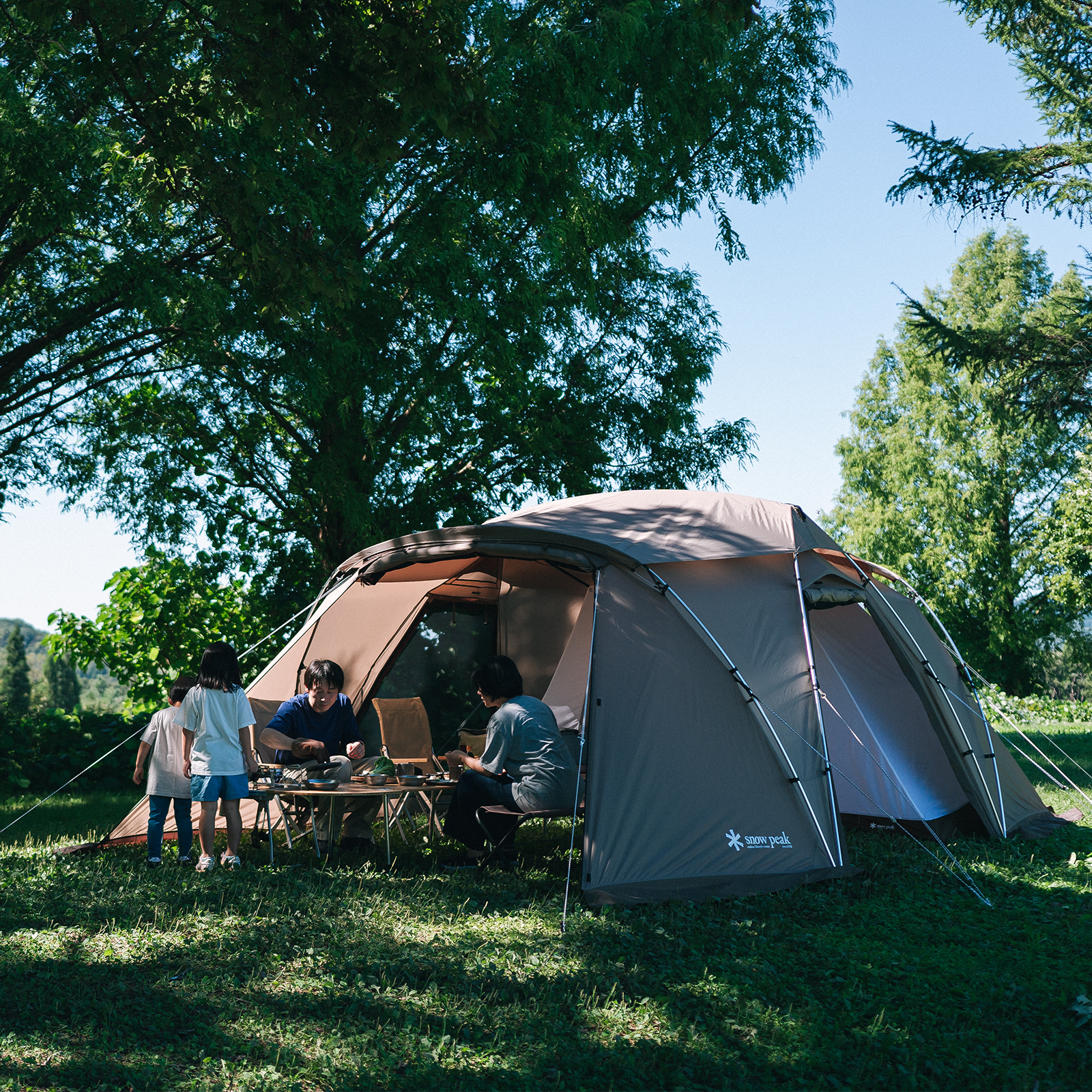 Land Nest Shelter