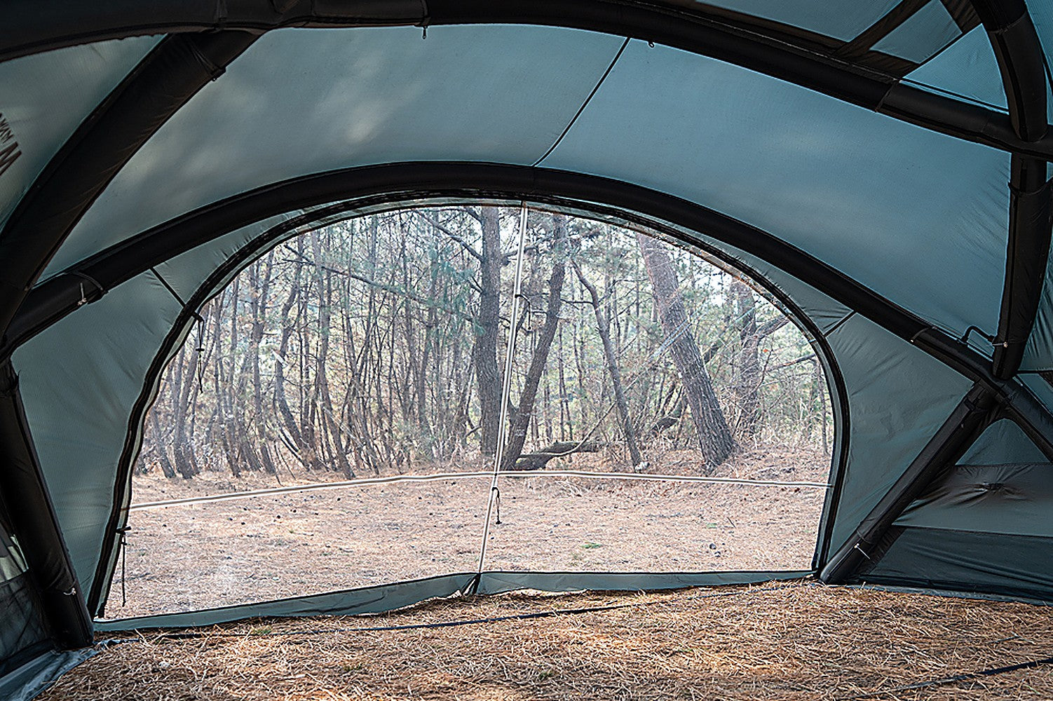 Interior view of the Shelter GM looking out through the clear arched front door panel into a forest