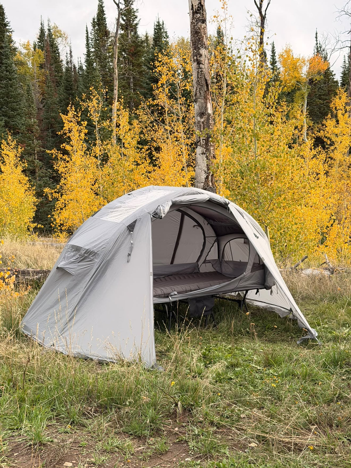 Neo Nest 80 Air rainfly pitched over the cot tent in an aspen forest, door rolled up (tent and cot sold separately).