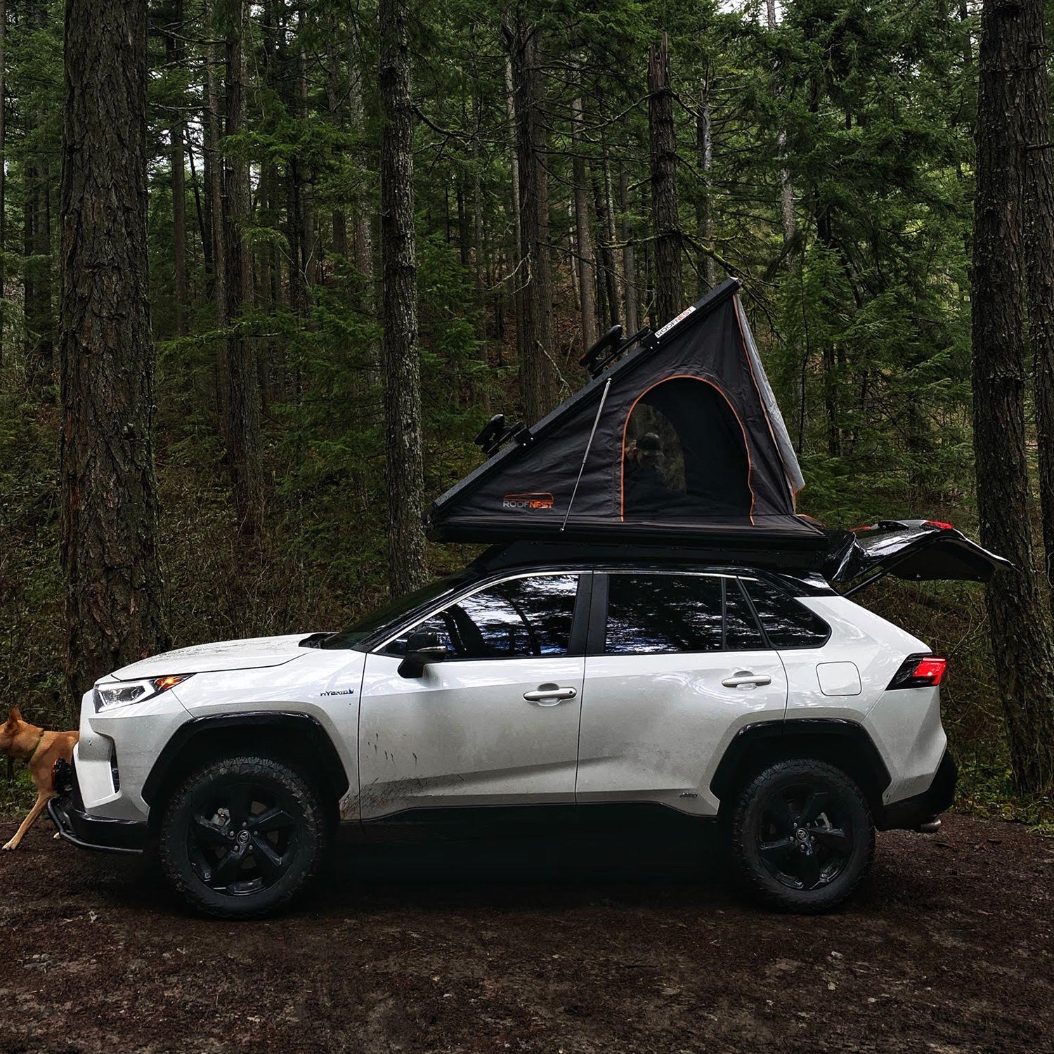 [TOYOTA RAV4 ROOF RACK] 2019-2021 - BIGTENT